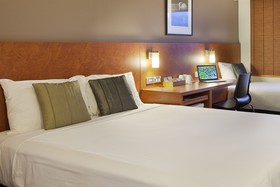 ibis Hamilton Tainui Hotel
