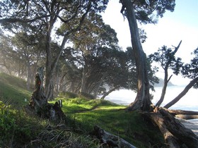 Kaimai Country Lodge