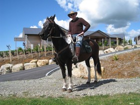 Kaimai Country Lodge