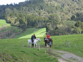 Kaimai Country Lodge