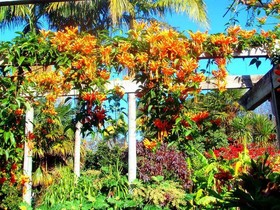Colonial House Motel