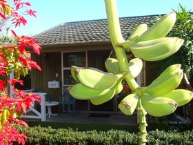 Colonial House Motel