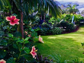 Stay Kerikeri Boutique Apartments and Studios