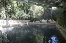 Opal Hot Springs And Holiday Park