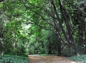 Meadowood Country House