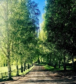 Mohaka River Farm