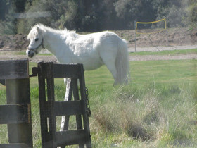 Mohaka River Farm