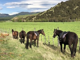 Mohaka River Farm