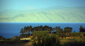 Capeview Cottage