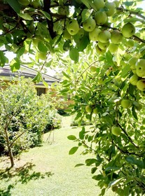 Paeroa Bed and Breakfast