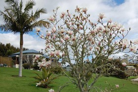 Te Awa Lodge