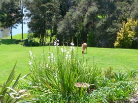 Riverside Homestead