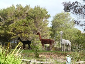 Riverside Homestead