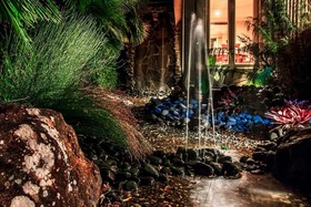 Sanctuary Palms