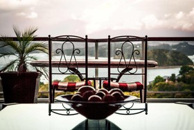 Sanctuary Palms