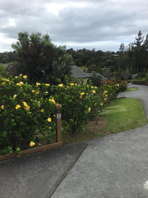 Sunseeker Cottages Motel