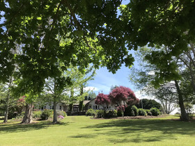 Tokanui Country Lodge