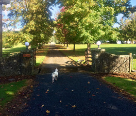 Tokanui Country Lodge