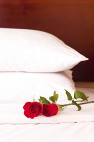 Snowy Waters Lodge & Tours