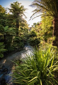 Best Western Braeside Rotorua