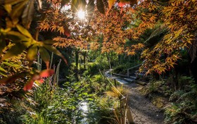 Best Western Braeside Rotorua