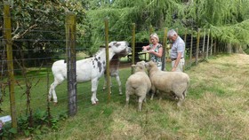 Mokoia Downs B&B