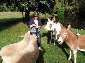 Mokoia Downs B&B