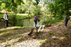 Mokoia Downs B&B