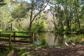Mokoia Downs B&B