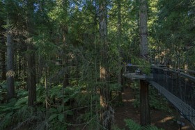 Silver Fern Rotorua Suites & Spa