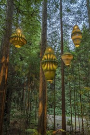 Silver Fern Rotorua Suites & Spa