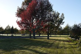 The Backyard Inn