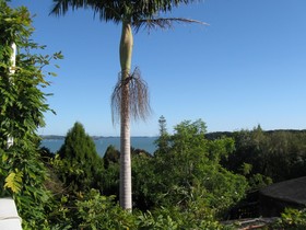 Aimeo Cottage
