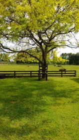 Korbaylen Estate