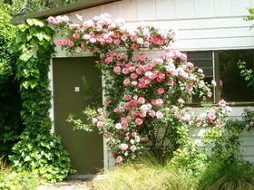Aultmore Hollow Bed and Breakfast
