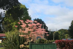 Accommodation Te Puna