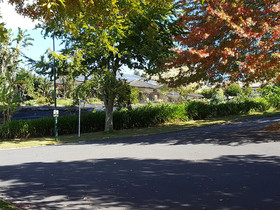 Westridge Dales