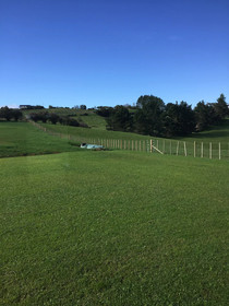 Veld View Bed and Breakfast