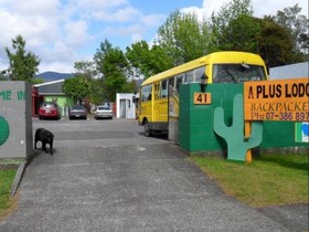 A Plus Backpackers Lodge