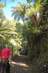 Waitakere Resort & Spa