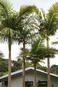 Waiheke Island Resort
