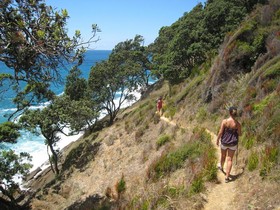 Waihi Beach Lodge