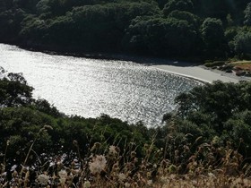 Waihi Beach Lodge