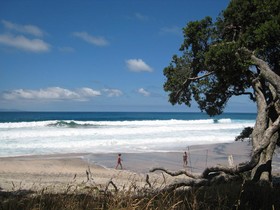 Waihi Beach Lodge