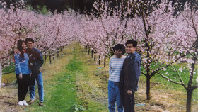 Waitomo Orchard Estate B&B