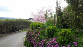 Waitomo Orchard Estate B&B
