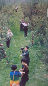 Waitomo Orchard Estate B&B
