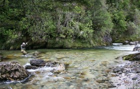 Motueka River Lodge
