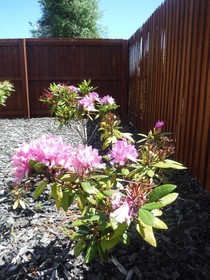 Bella Vista Motel Ashburton