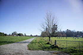 Coldstream Estate-The Whare